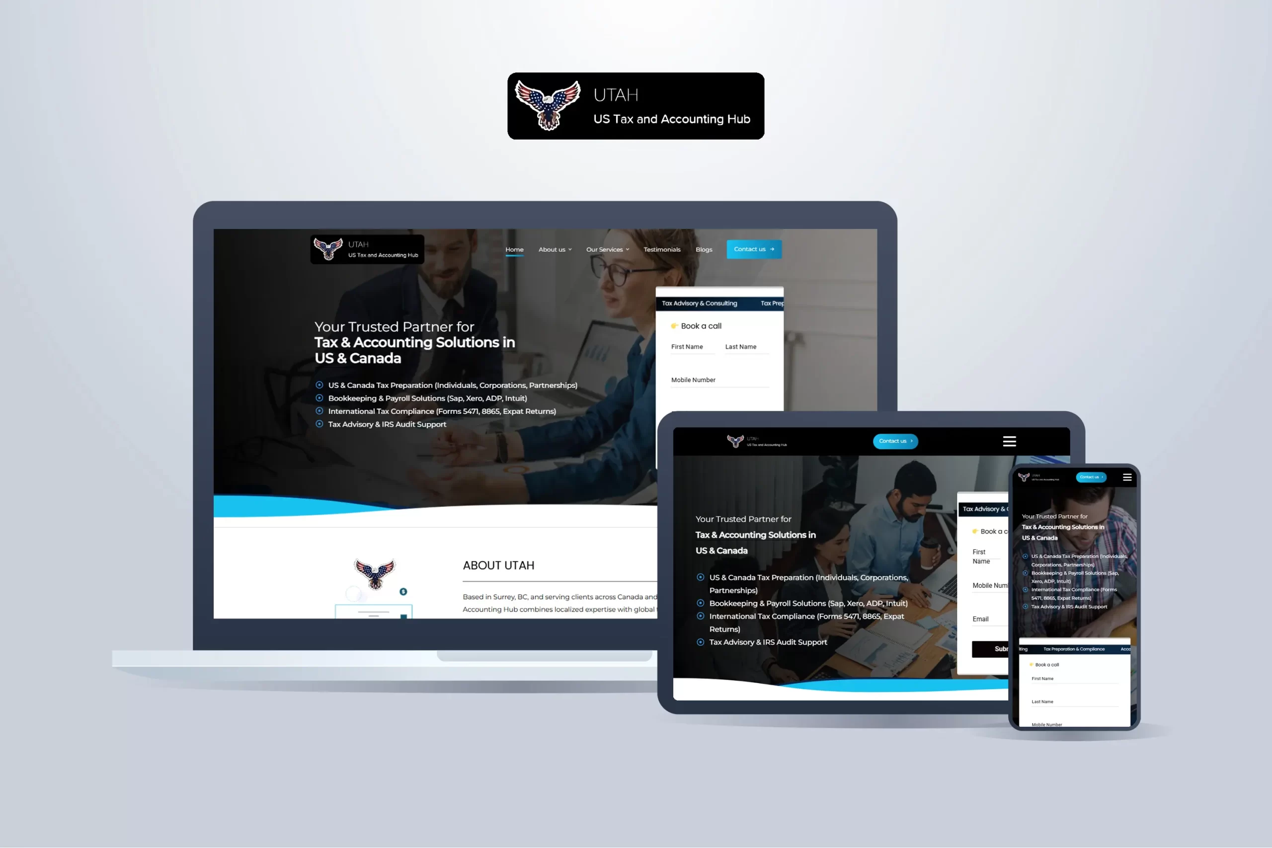 🇺🇸 US Tax and Accounting Hub